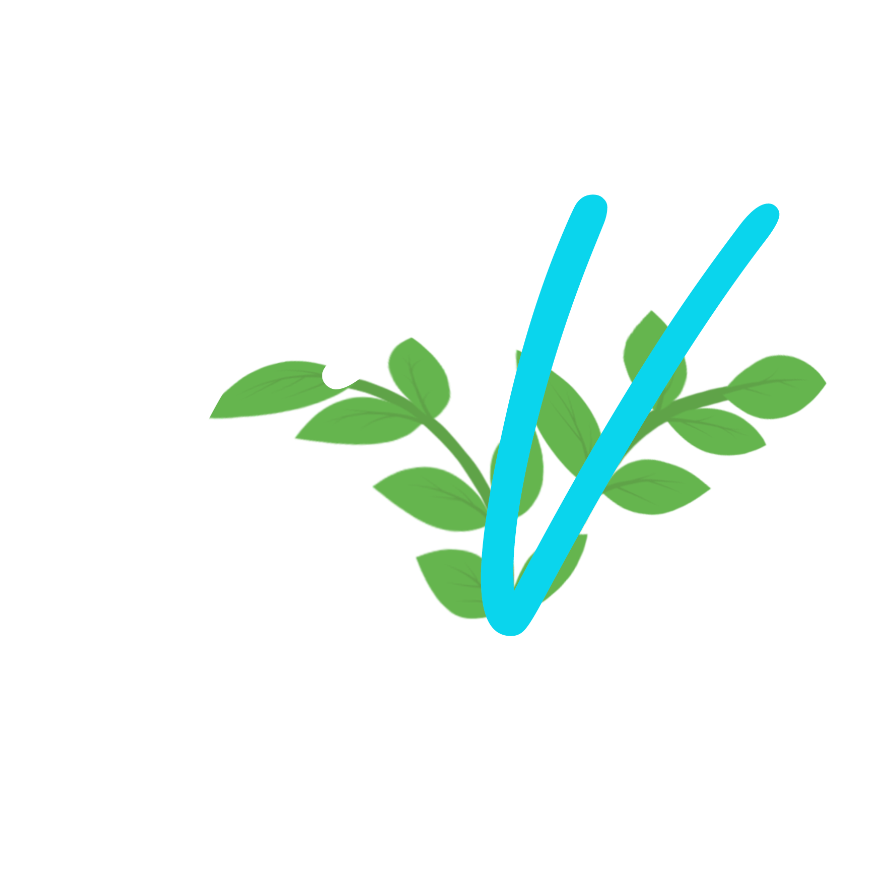 GiardinoVivo